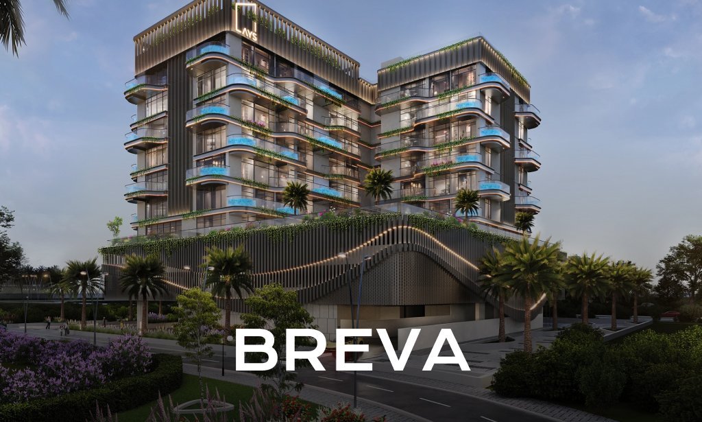Breva